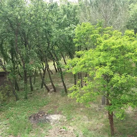 Bed & Breakfast Le Tre Rose Di Maria