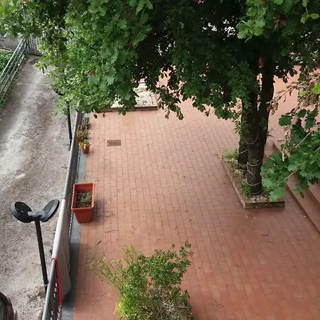 Le Tre Rose Di Maria Pedara